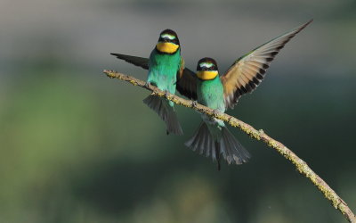 TJ_2011__034735.jpg