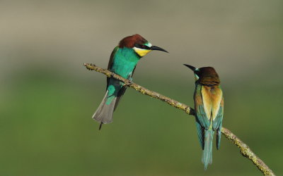 TJ_2011__034847.jpg