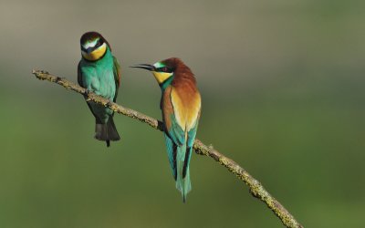 TJ_2011__034851.jpg
