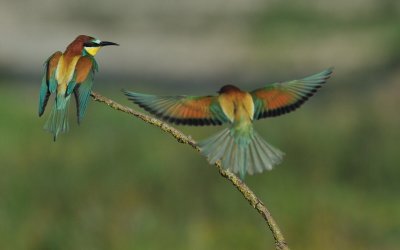 TJ_2011__034937.jpg