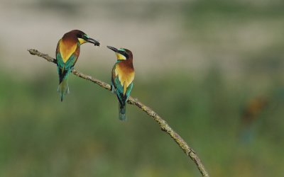 TJ_2011__035343.jpg