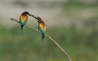 TJ_2011__035344.jpg