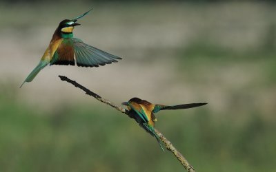 TJ_2011__035385.jpg