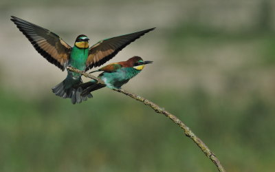 TJ_2011__035444.jpg