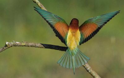 TJ_2011__035151.jpg