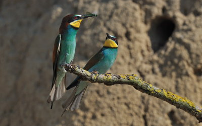 TJ_2011__035566.jpg