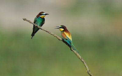 TJ_2011__035729.jpg