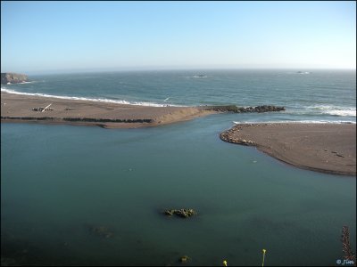 Russian River Meets The Sea and Sea Lions