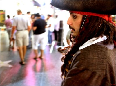 Not Your Average Pirate