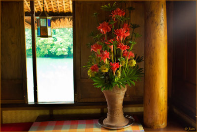 Still Life