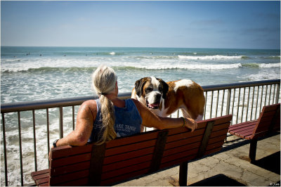 Beach Buddies