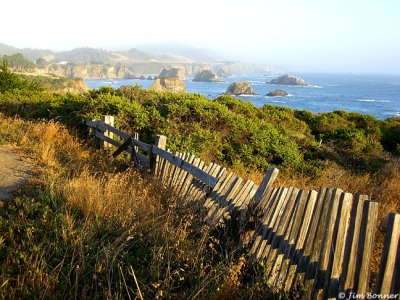 Mendocino Coastline