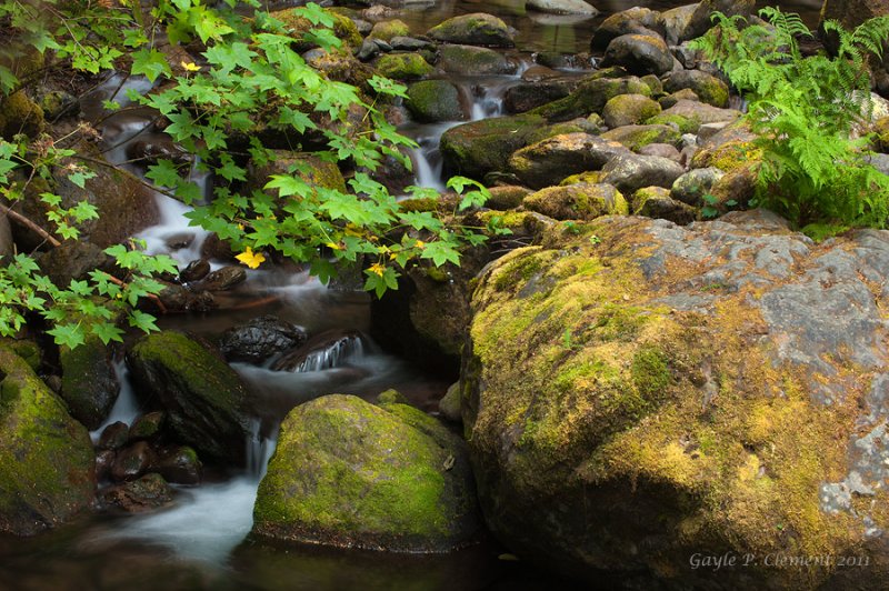 Falling Water