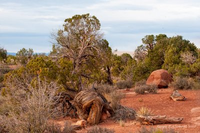 Moab Landscape