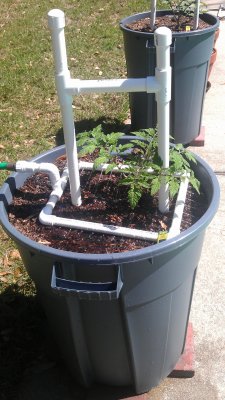 spray in the pot.jpg