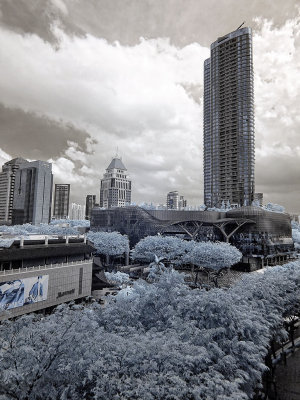 ION Orchard