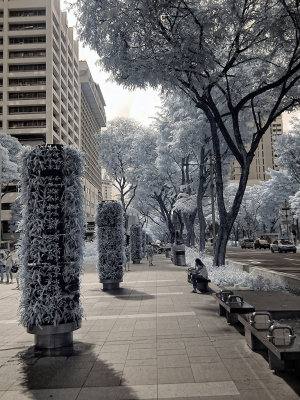 Orchard Road