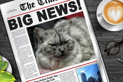Cat In The Papers