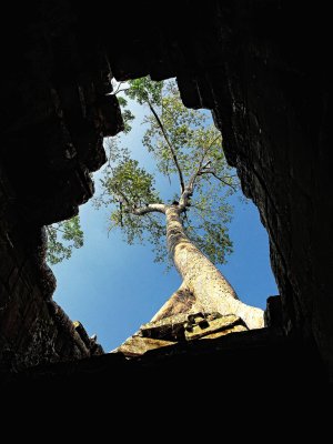 Preah Khan