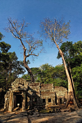Ta Prohm