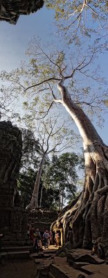 Ta Prohm