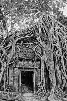 Ta Prohm