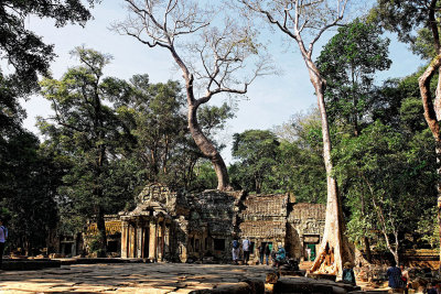 Ta Prohm