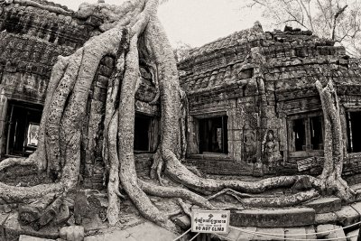 Ta Prohm