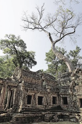 Ta Prohm