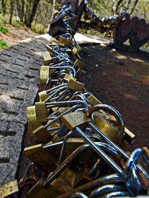 Lovers' Locks at the Lover's Pine Tree