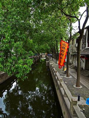 g4/43/42943/3/59493993.TongLi01m.jpg