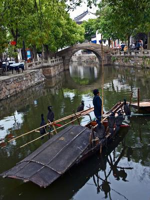g4/43/42943/3/59493994.TongLi02m.jpg