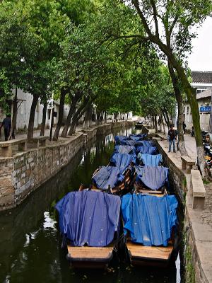 Tongli