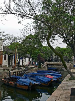 g4/43/42943/3/59493997.TongLi05m.jpg
