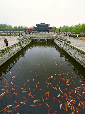 g4/43/42943/3/59506979.Wuxi3Kingdom02m.jpg