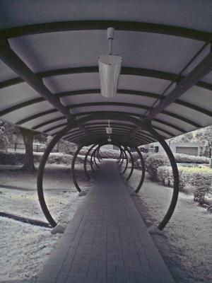 g4/43/42943/3/60714224.IRTestPic03m.jpg