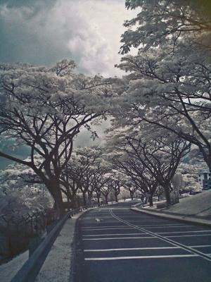 IR Test Pic 04