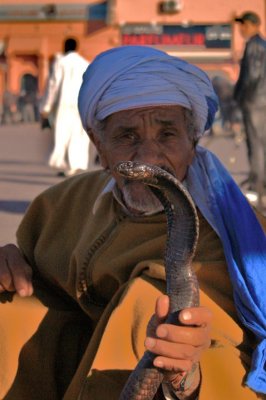 Snake charmer in Marrakesh - Encantador de serpientes en Marraqueix