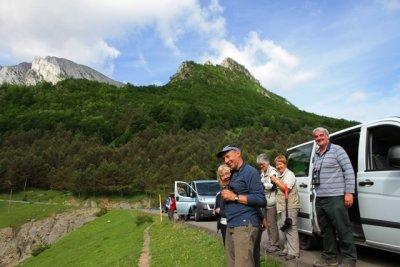 Pyrenees group watching a Dipper