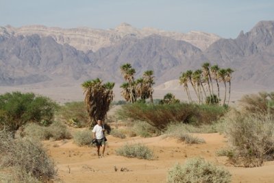 Vagando por el desierto de Israel