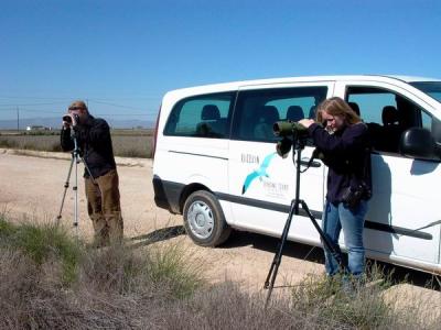 Birdwatching with Audouin Birding Tours in the Ebro Delta (Delta del Ebro) - Excursi al Delta de l'Ebre