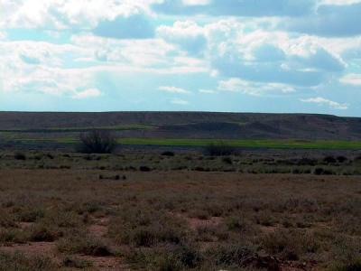 The SEO/Birdlife reserve of Planerón