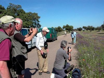 Birdwatching and Fotographing Group in Extremadura