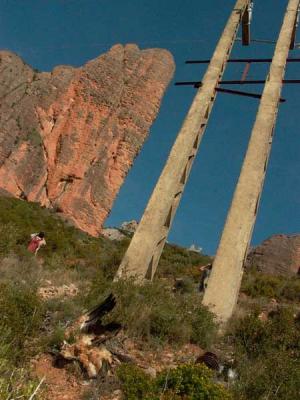 Electric tower in Riglos with a dead Griffon Vulture below