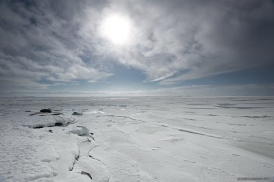 Sea of Ice II