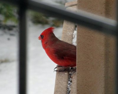 IMG_3797.JPG