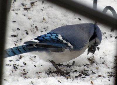 IMG_3801.JPG