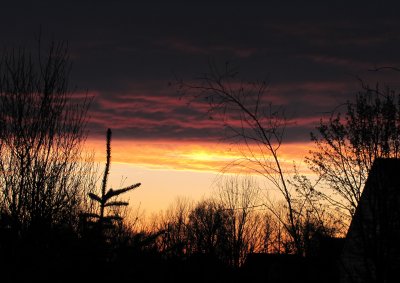 early spring storm.jpg