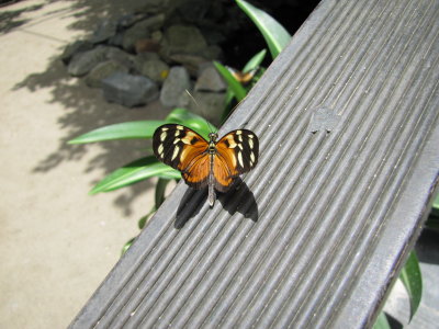 g4/43/472043/3/142821906.AkGRnnJg.jpg