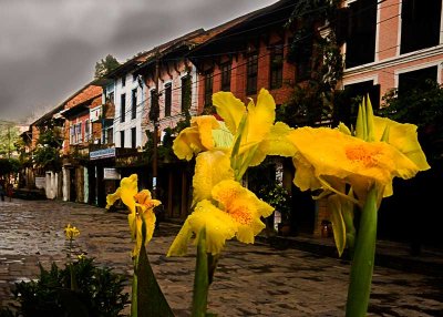 Bandipur bazaar